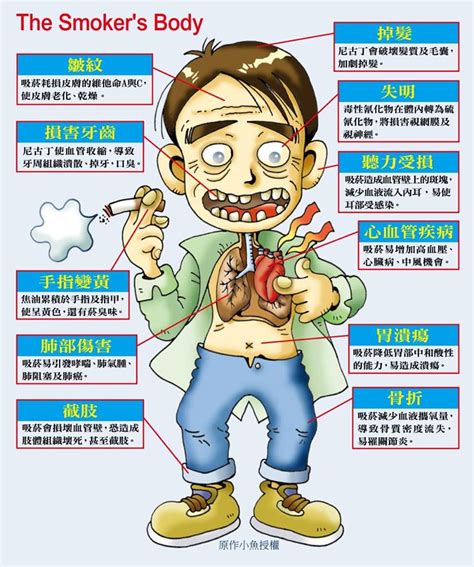 抽煙對身體的危害|衛生福利部國民健康署